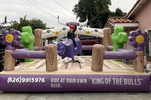 Mechanical Bull Rentals