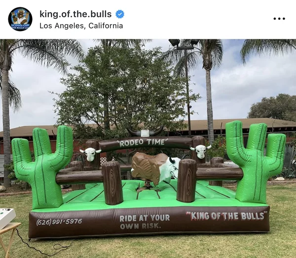 Party Mechanical Bull Rental