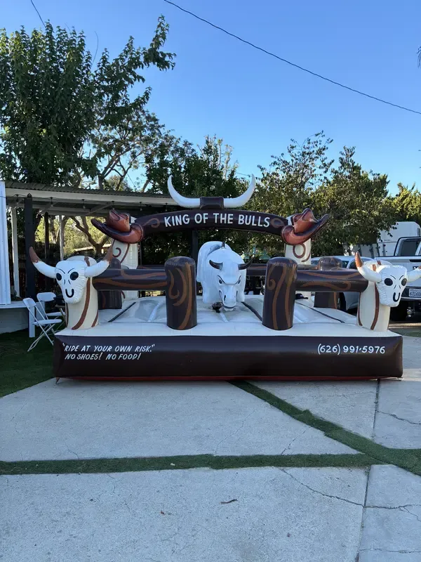 Party Mechanical Bull Rental